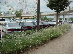 07 